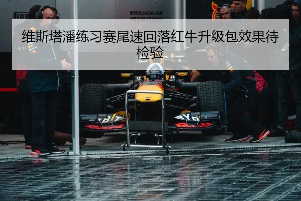 维斯塔潘练习赛尾速回落红牛升级包效果待检验